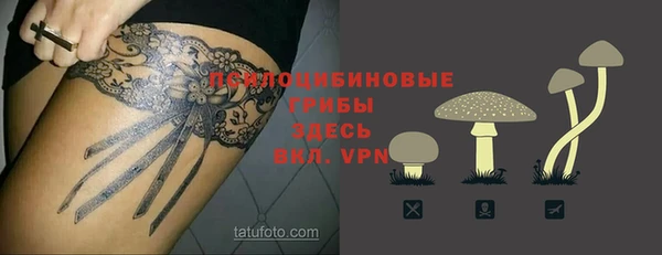 ГАЛЛЮЦИНОГЕННЫЕ ГРИБЫ Волоколамск
